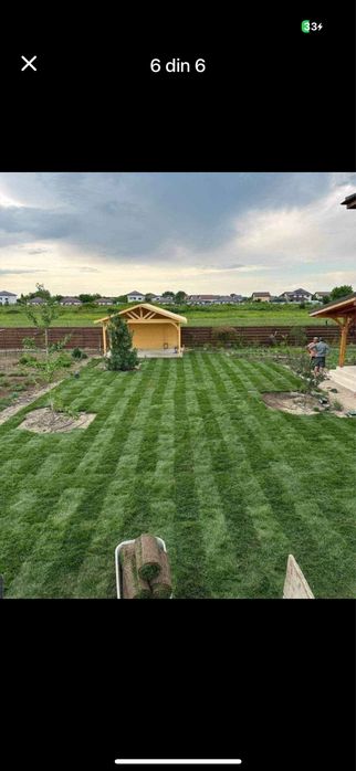 Gazon Natural Proaspat Taiat