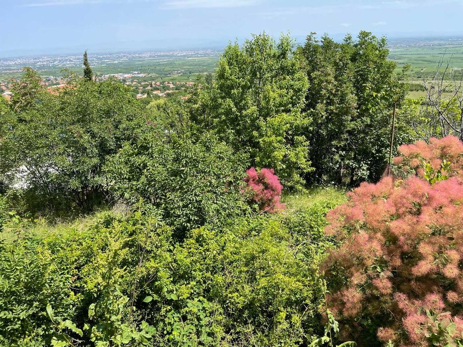 Продава се Парцел в с. Брестник, Област Пловдив - 638 кв.м за 100 €/кв.м - Снимка #2