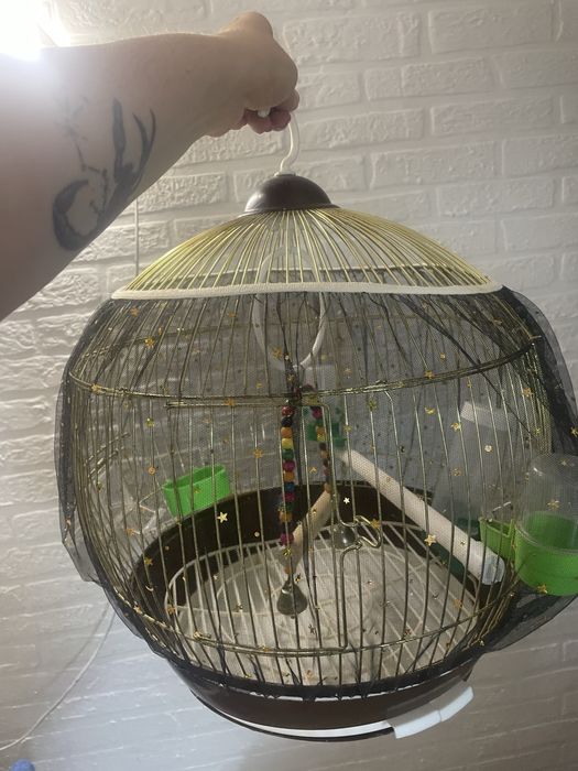 Продаю клетку сетка в подарок