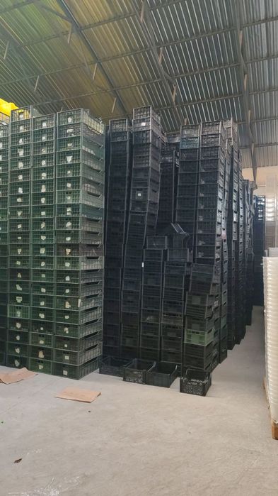 Продаются ящики пластиковые