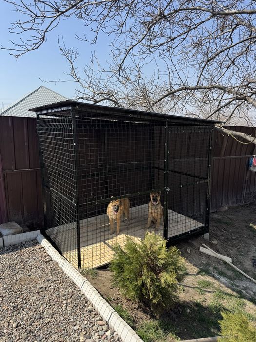 Вольер для собак