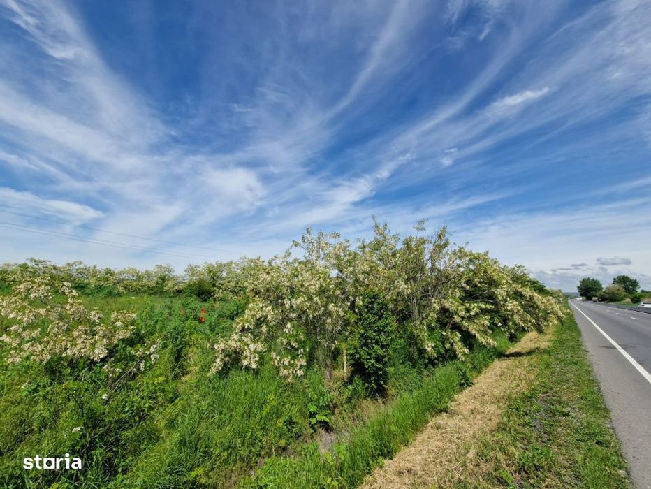 Teren de vanzare, 900 mp, Drumul European – Isalnita