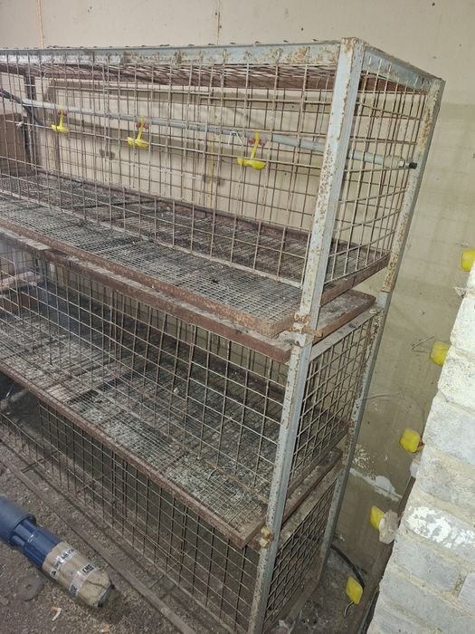 Продам клетки для несушек/ бройлеров