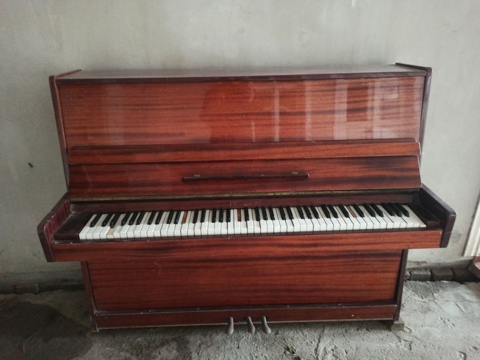 пионино беларусья