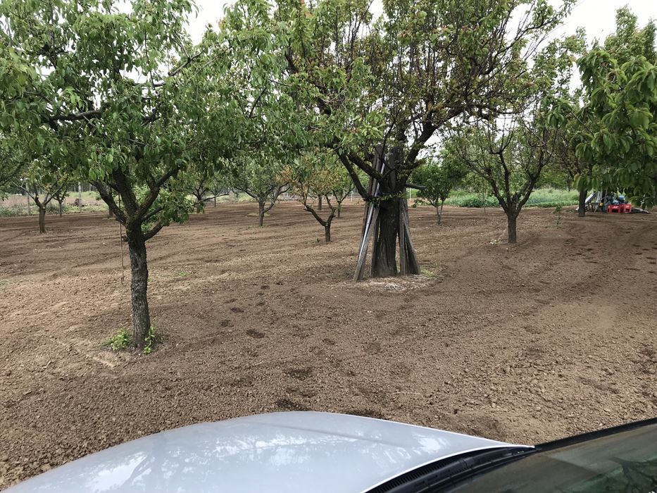 Продава се Парцел в Силистра, Север - 1278 кв.м за 12 €/кв.м - Снимка #3