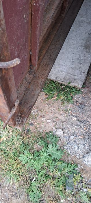 Продам хорошие ворота с калиткой