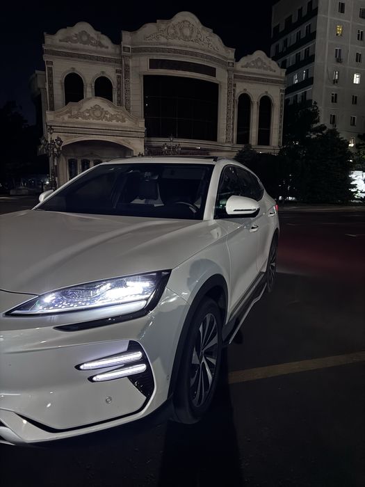 Byd Champion 605
