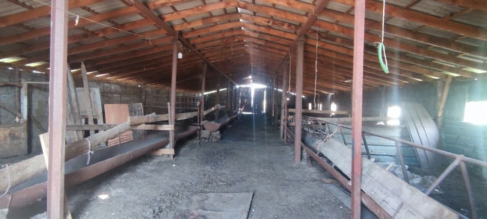 Продам Откорм базу в п Балтабай