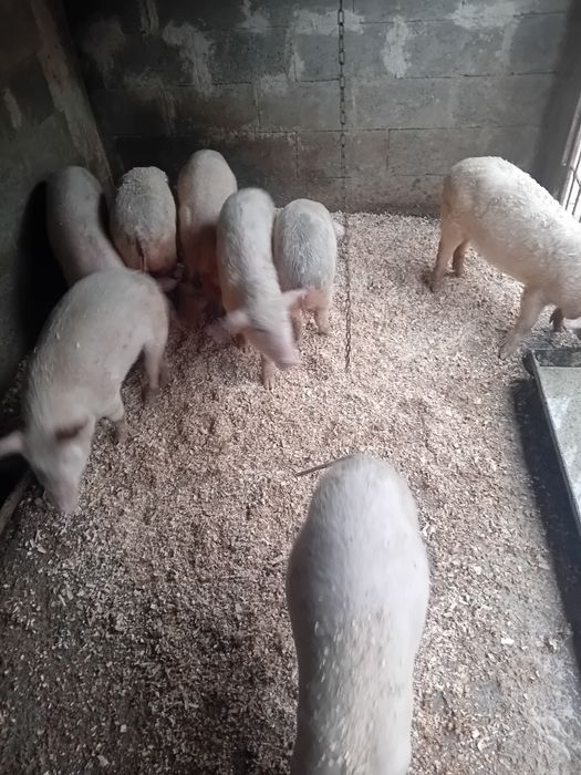 Schimba locatia.  Zero sapte 65031440