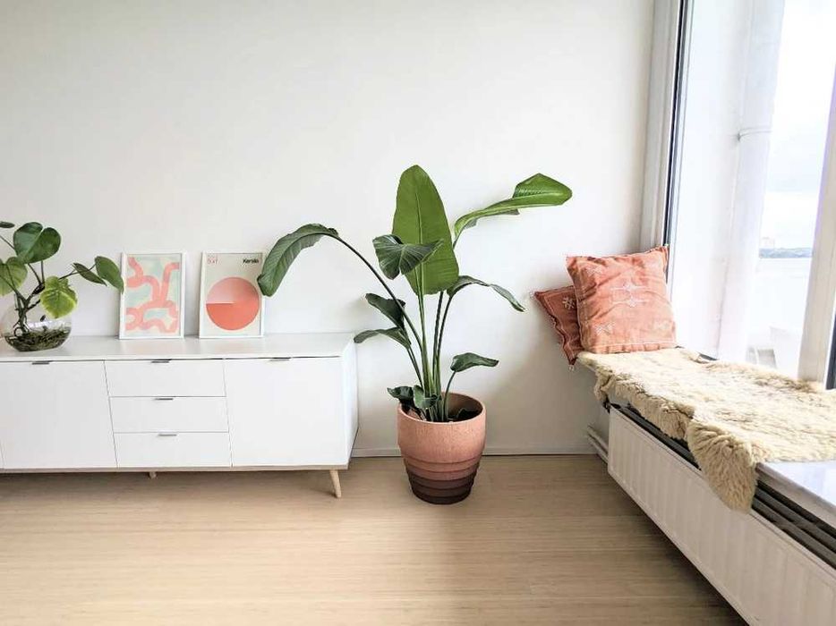 Дава се под наем Двустаен апартамент в София, Център - 55 кв.м за 397.8 € - Снимка #2