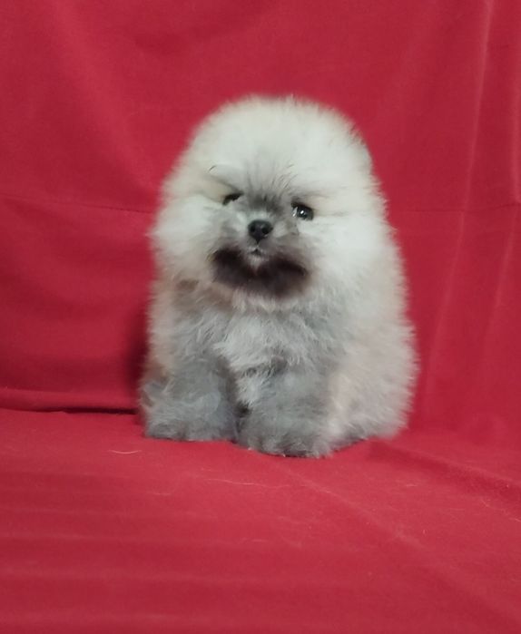 Сссупер мини девочка