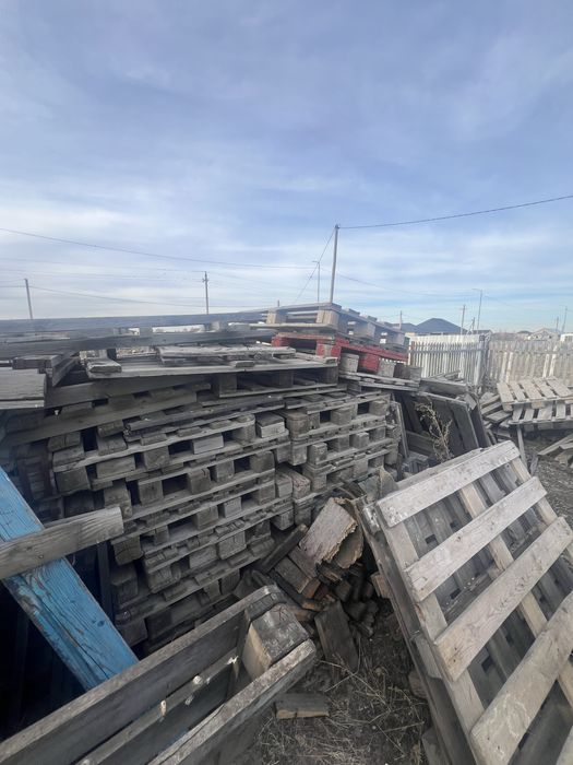 Продам Поддоны б/у