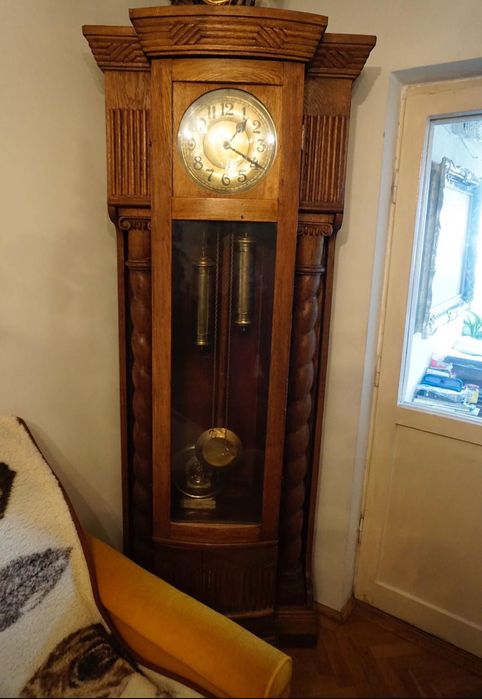 Pendula de podea, stejar