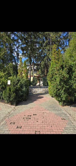 JALUTEX Afacere la cheie - firma în industria chimică