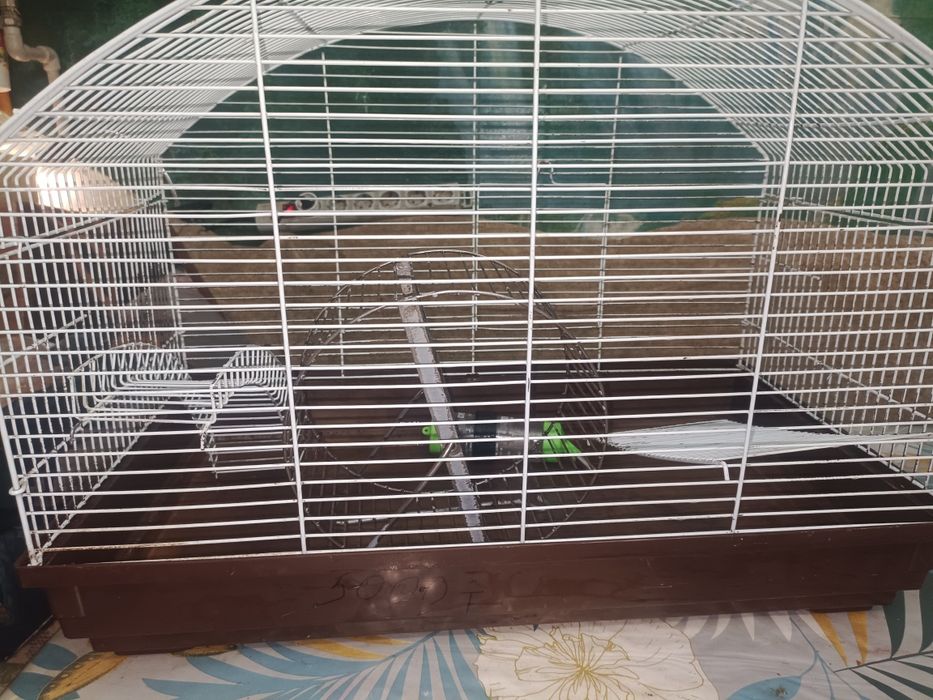 Клетка для грызунов без грызунов