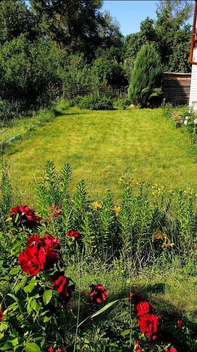 Продается дача Общество Яик - 1