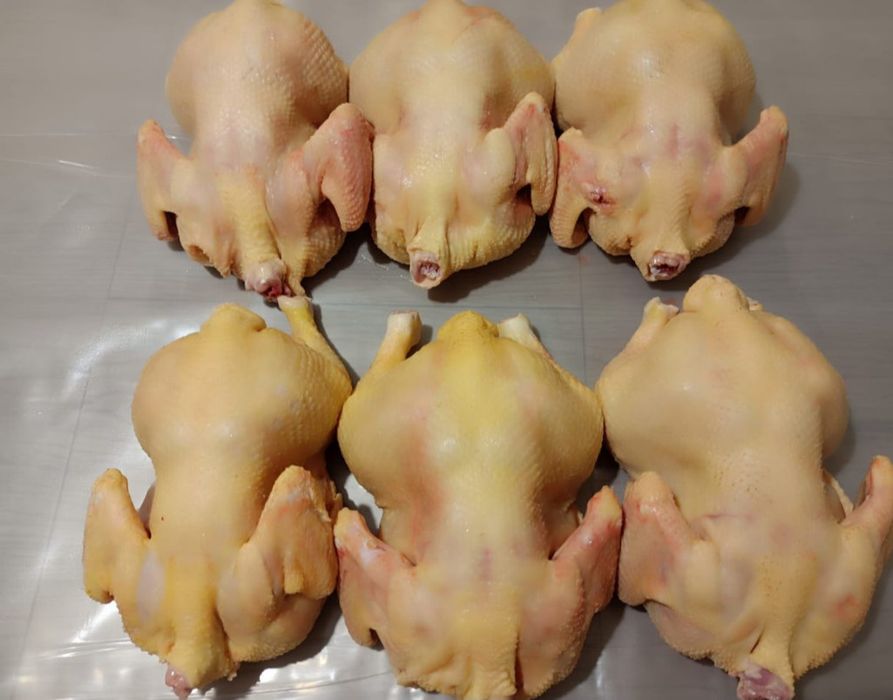 Яйцо и мясо домашних кур