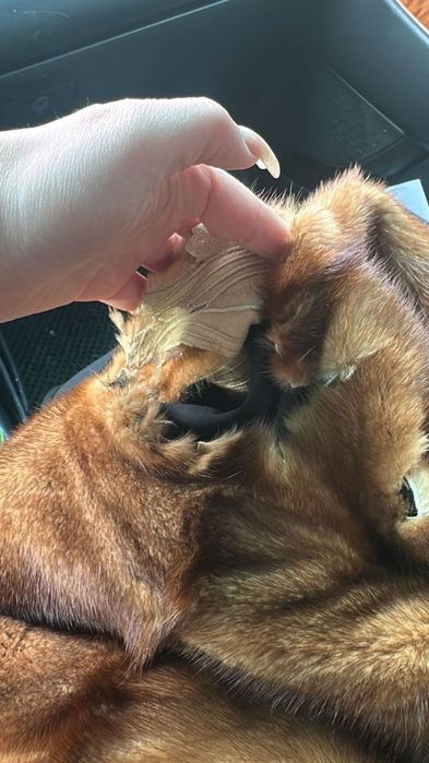 Реставрация шубы,Ателье