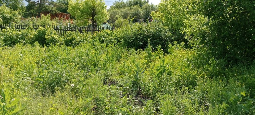 Продам две дачи Тихая роща, за рабочем поселком.