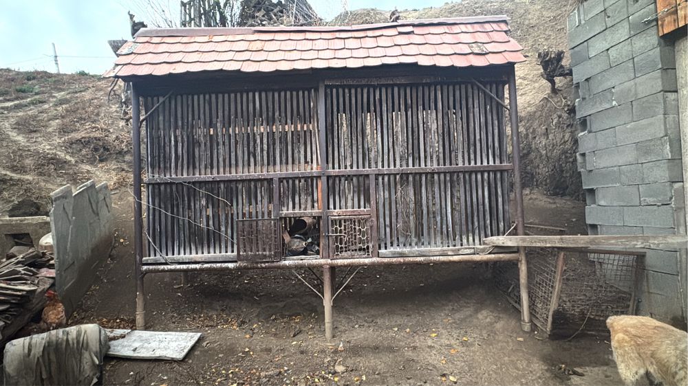 coser din fier gros si tratat