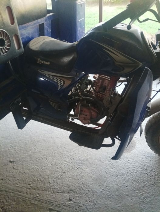 Муравей сотилади