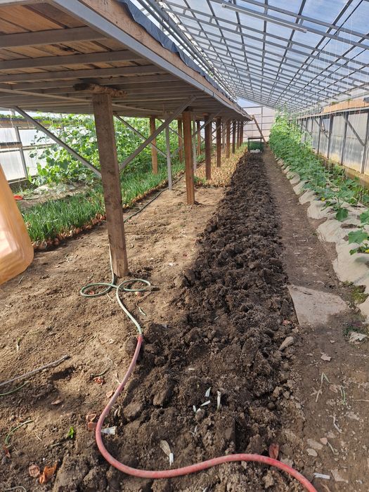 Продам дом с зимней теплицой