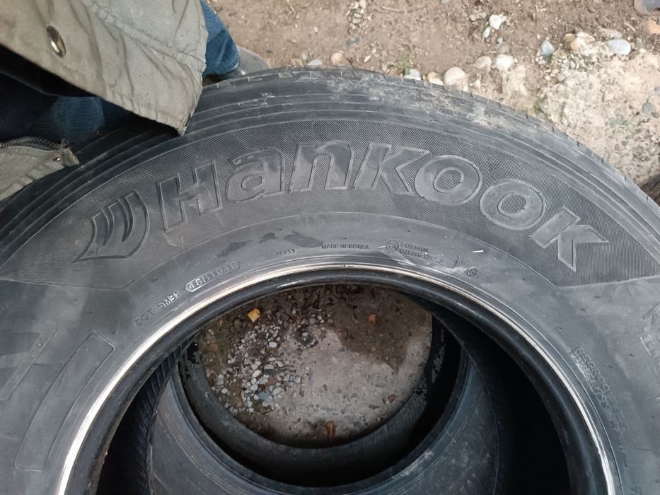 Прецепный болоны