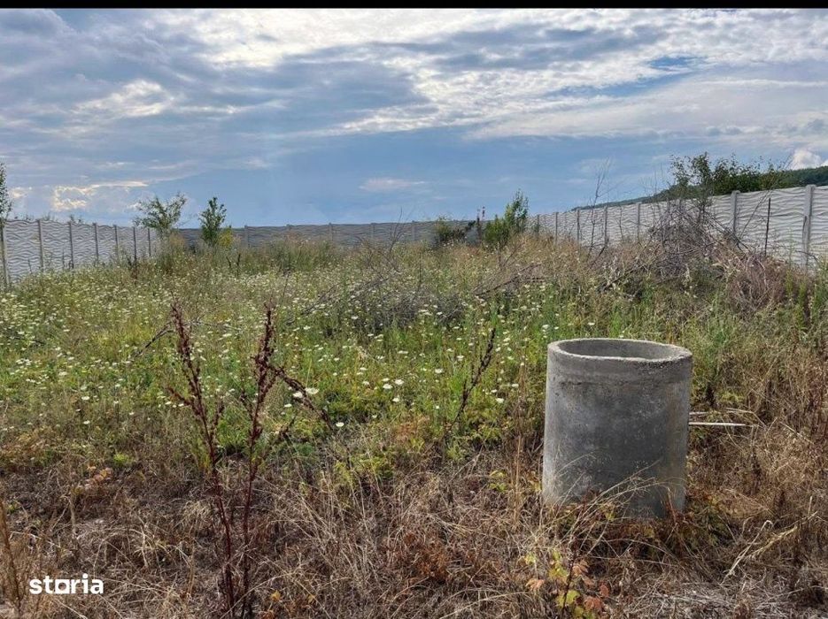 Teren intravilan imprejmuit 1000 mp, total 2550 mp, zona Arginesti