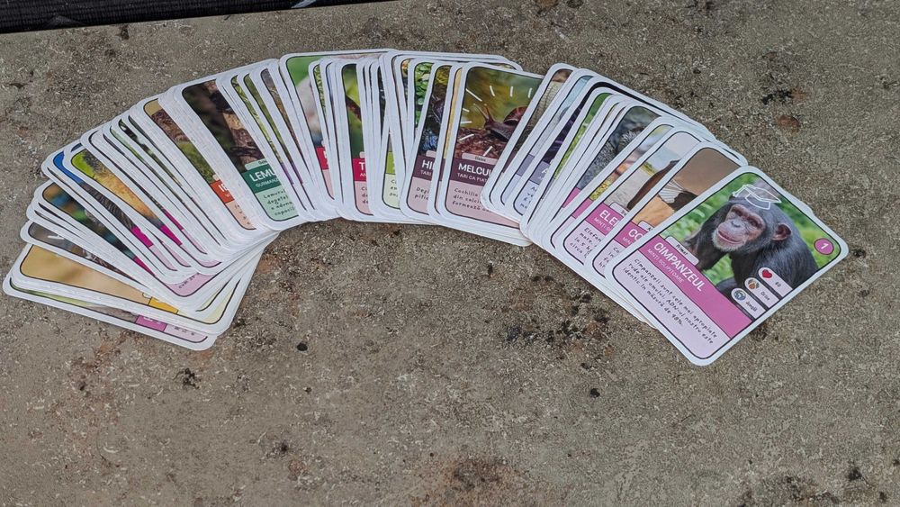 Cartonase Mega Image - Expeditie in jurul lumii 1 si 2