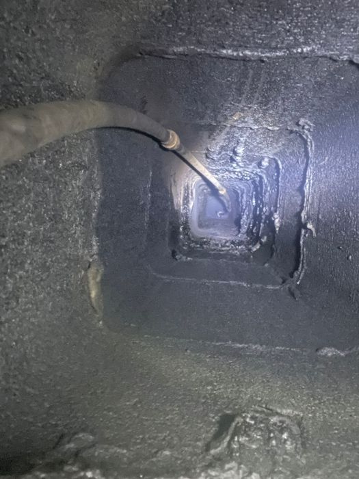 Cosar hornar autorizat ASCF