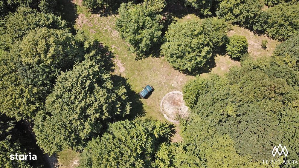 Livadă de Nuci, 11 Hectare comasate, Cisnădie, Jud. Sibiu