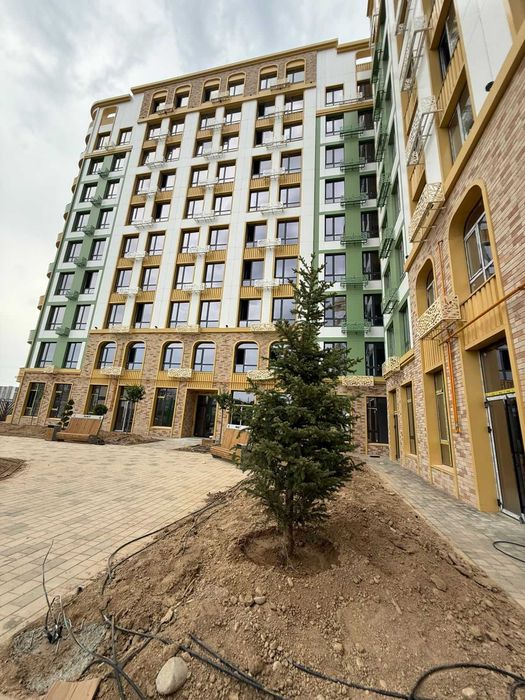 Ниет бизнес класс