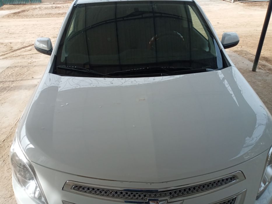 Кобалт 2019 2-позитсия