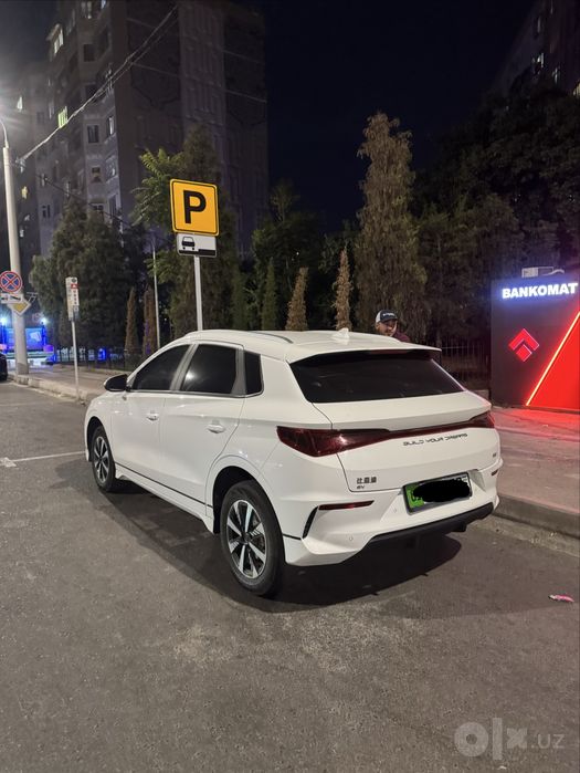 Byd e2 luxury 2024