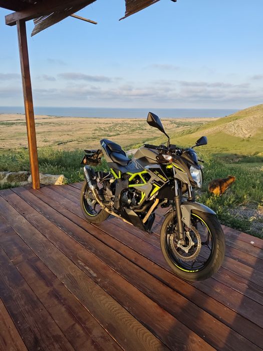 Kawasaki z125/2023