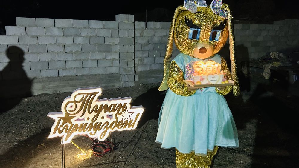 Продам аниматоры состояние 10 из 10