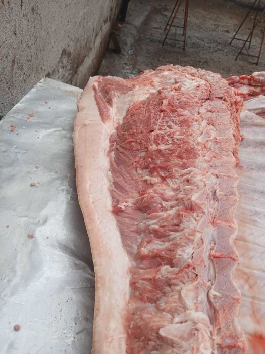 Продавам добре гледани БИО прасета