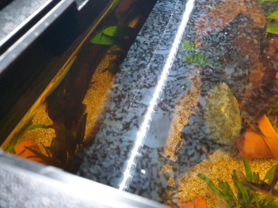Продаётся Скиммер для удаления плёнки на поверх