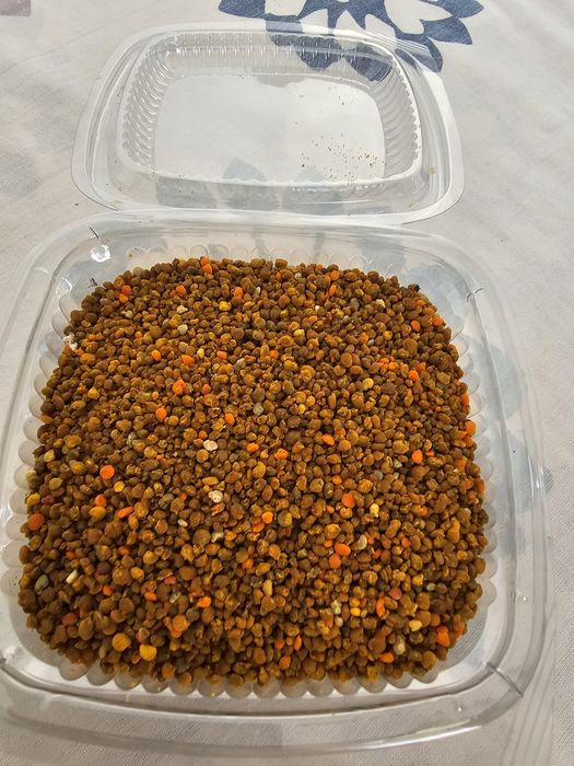 Polen crud de la pomi fructiferi papadie recoltat anul acesta