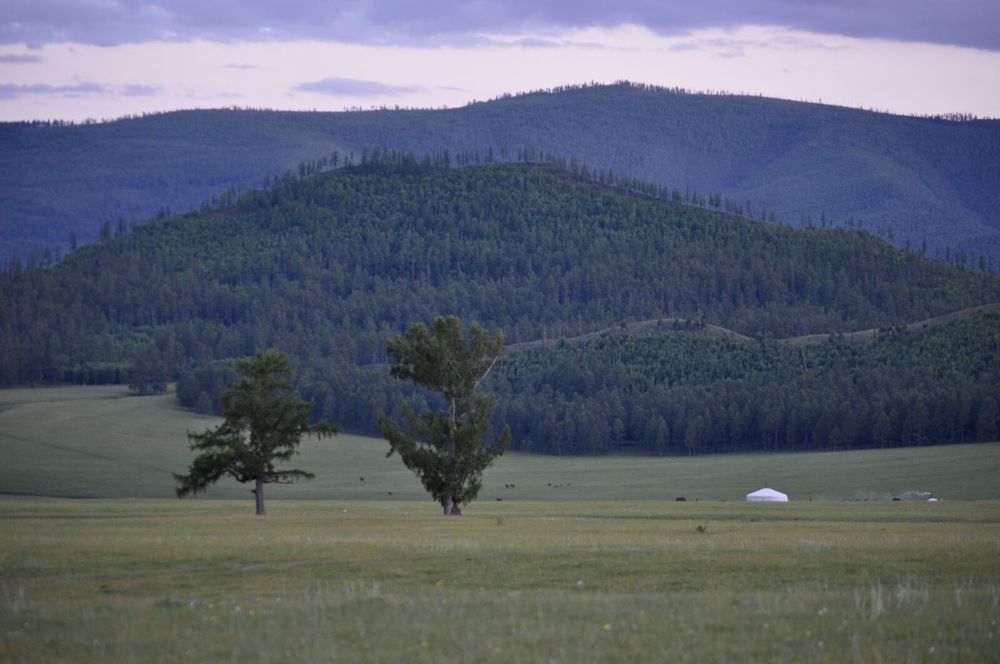 Обектив Nikkor VR 55-200mm, 4.5 - 5.6G + чантичка Fujifilm