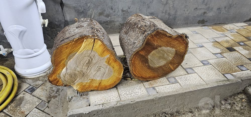 Tonka 2 ta sotiladi
