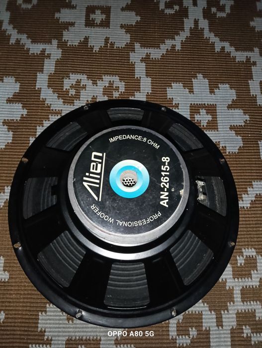 Subwofer 15 inch/ 38 cm