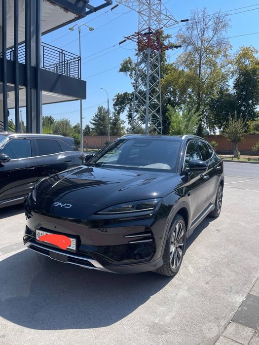 Byd champion 2024 restayling 605km