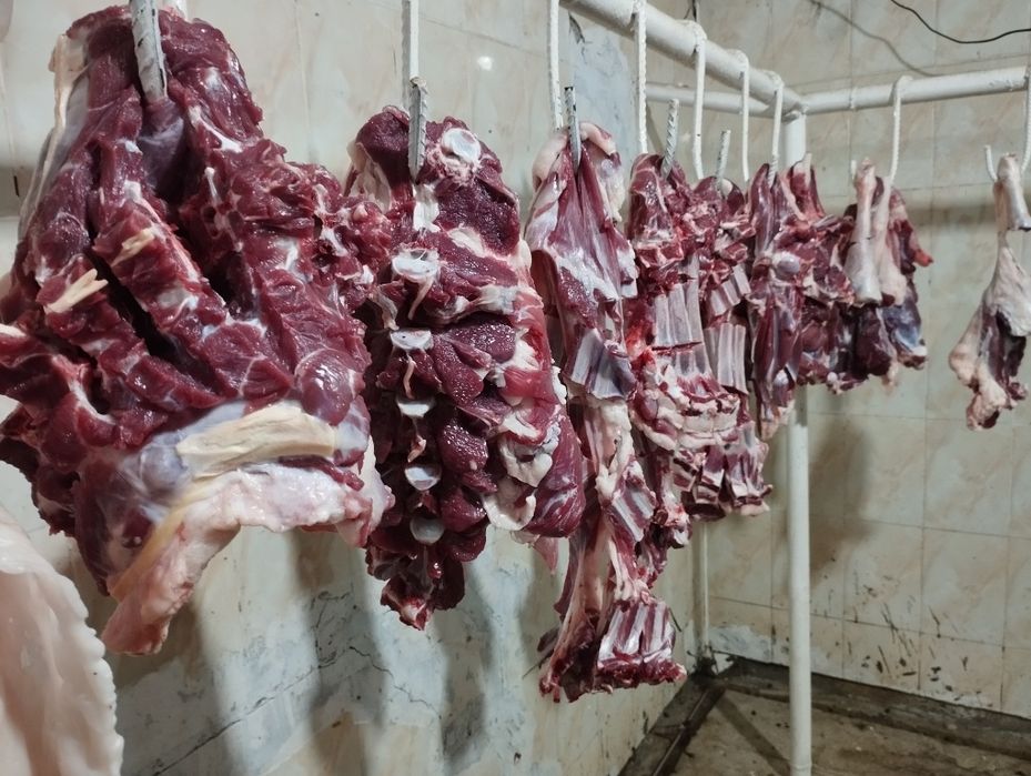 Qassob servis  Siz izlagan Tam va sifat uygʻunligi