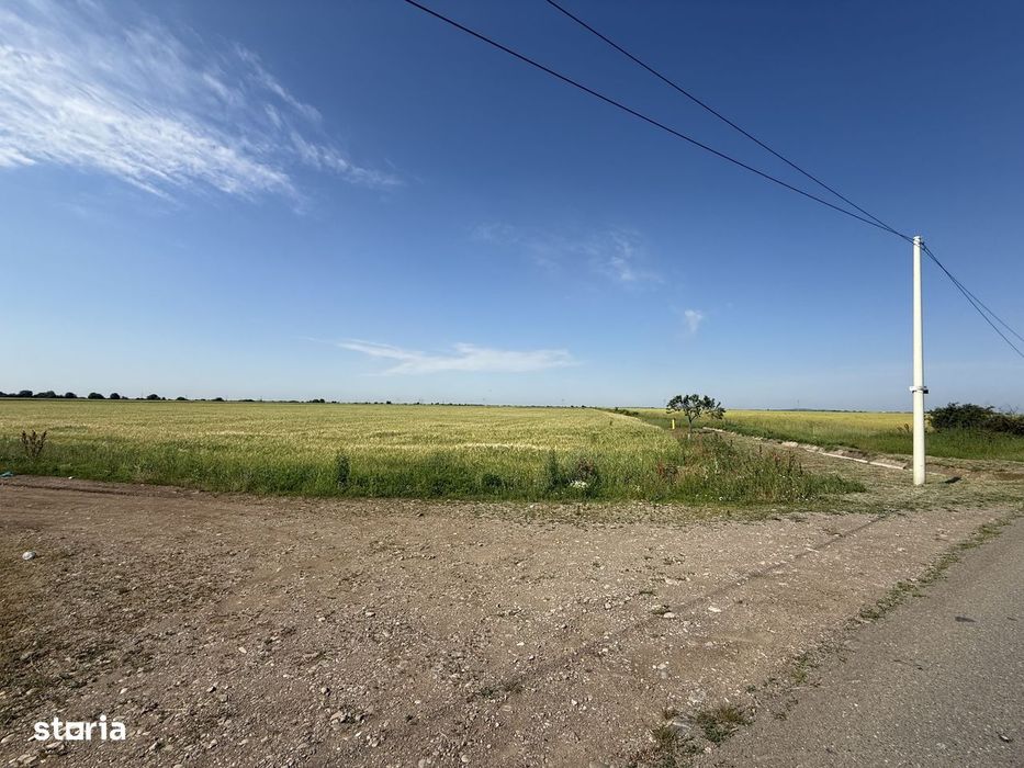 Teren 10 hectare pretabil pt panouri solare-Aricesti Rahtivani