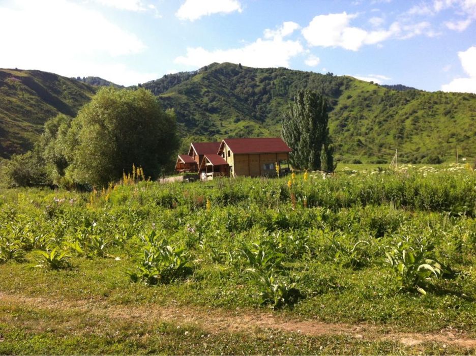 Дом в аренду посуточно