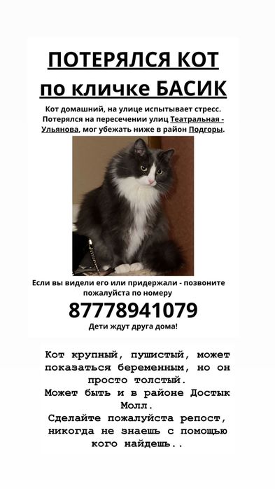 Пропал кот!!! Дети очень ждут друга