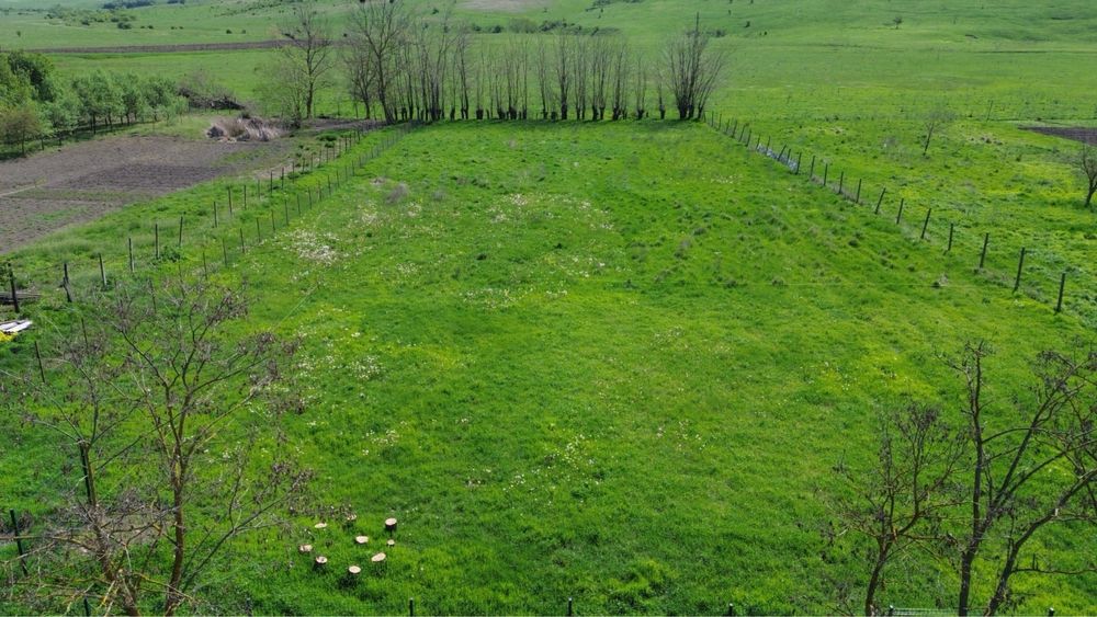 Teren intravilan Ianova 1508mp. Parcelabil