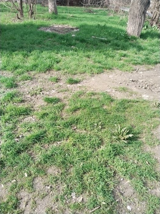 Продам ЗЕМЛЮ. Старые Сергели. Фасада нет. Только ворота. (2 метра)
