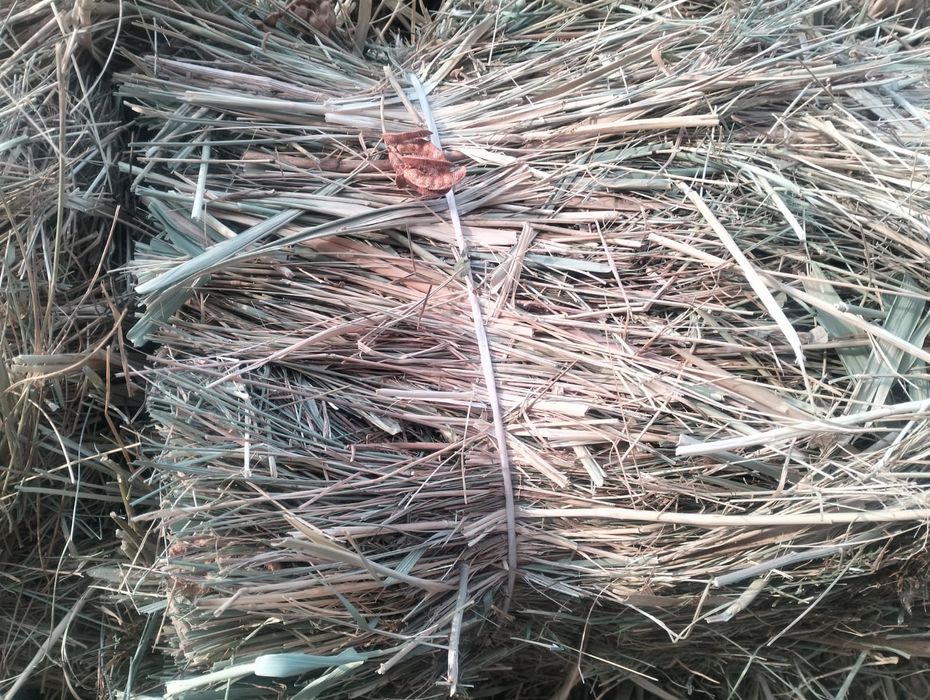 Продам сено с доставкой сено тюках